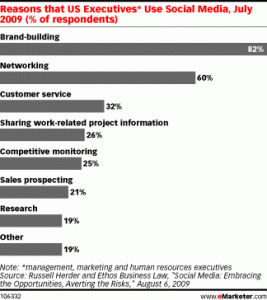 social-media-usage-usa2009